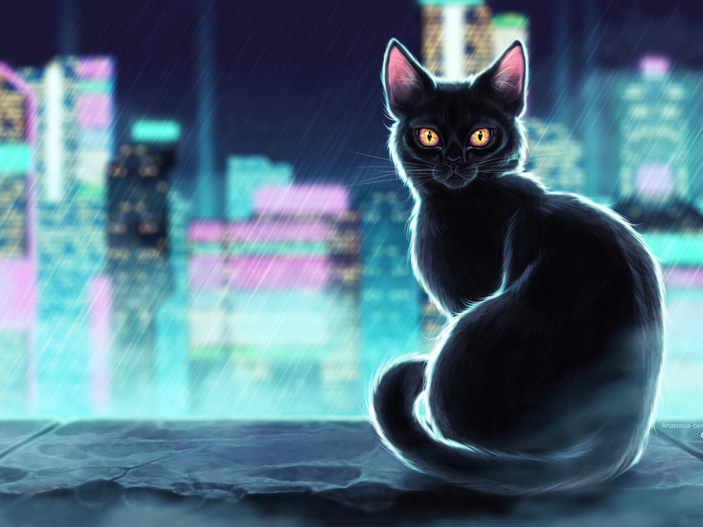 Midnight cat