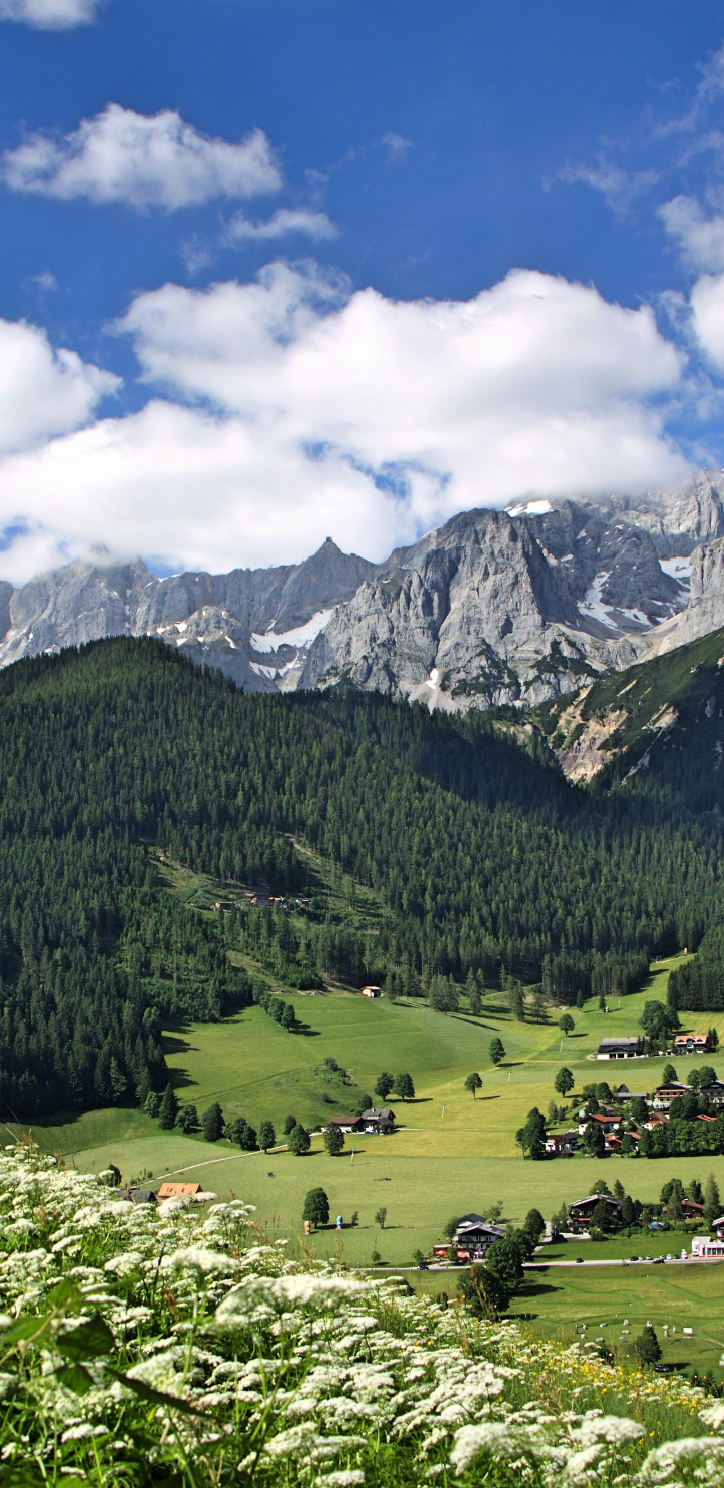 Download wallpaper flowers, mountains, Austria, valley, village, Alps ...