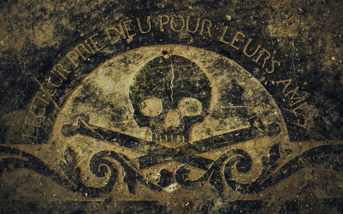 Metal Inscriptions Download wallpaper metal, the inscription, skull, section textures in ...