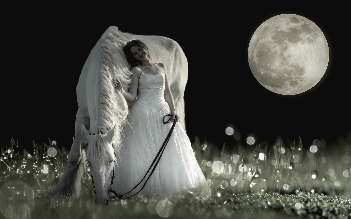 Девочка под луна. Девушка под луной. Девушка на фоне Луны. Красивая девушка под луной. Лунная ночь девушка.