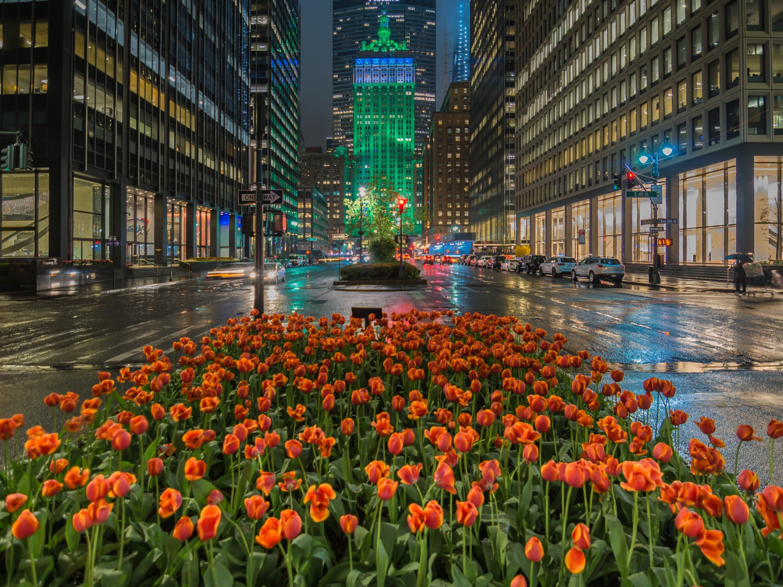 Flower streets. Спринг стрит Нью-Йорк. Парк Авеню Нью-Йорк. Тюльпан Нью Йорк. Нью-Йорк Манхеттен улицы.