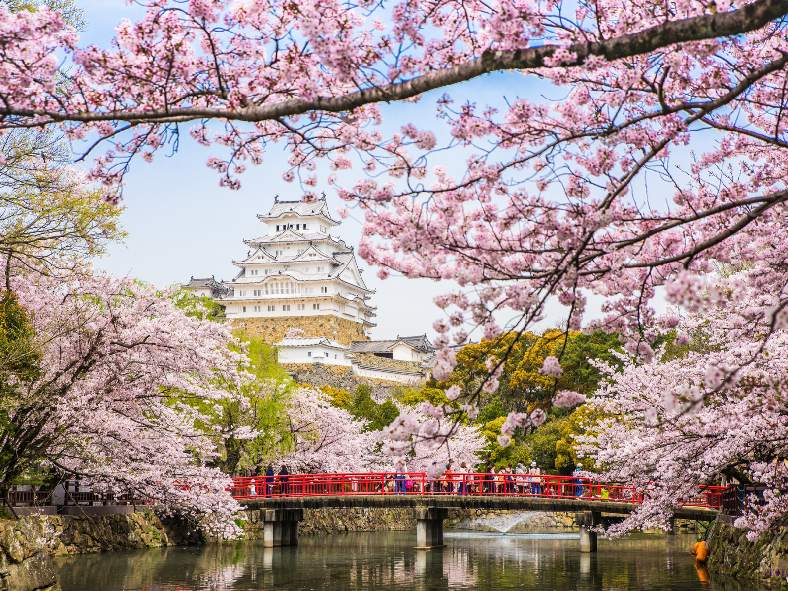 Japanese spring. Киото цветение Сакуры. Япония Сакура пагода. Япония Токио цветение Сакуры. Цветение Сакуры в Японии сады.