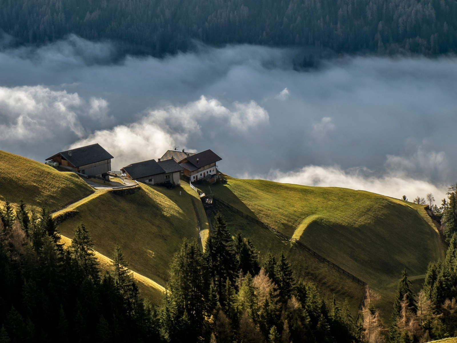 Molehill mountain. Домик на Холме. Дом в лесу в горах. Дом на Холме в горах. Лесной домик на склоне.