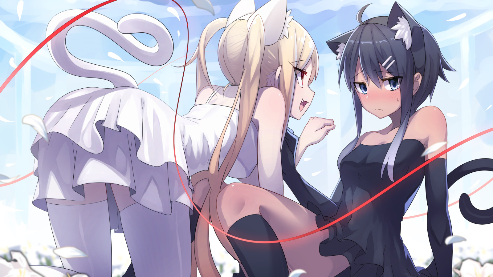 Download wallpaper Girls, anime, pair, neko, section art in resolution  1600x900