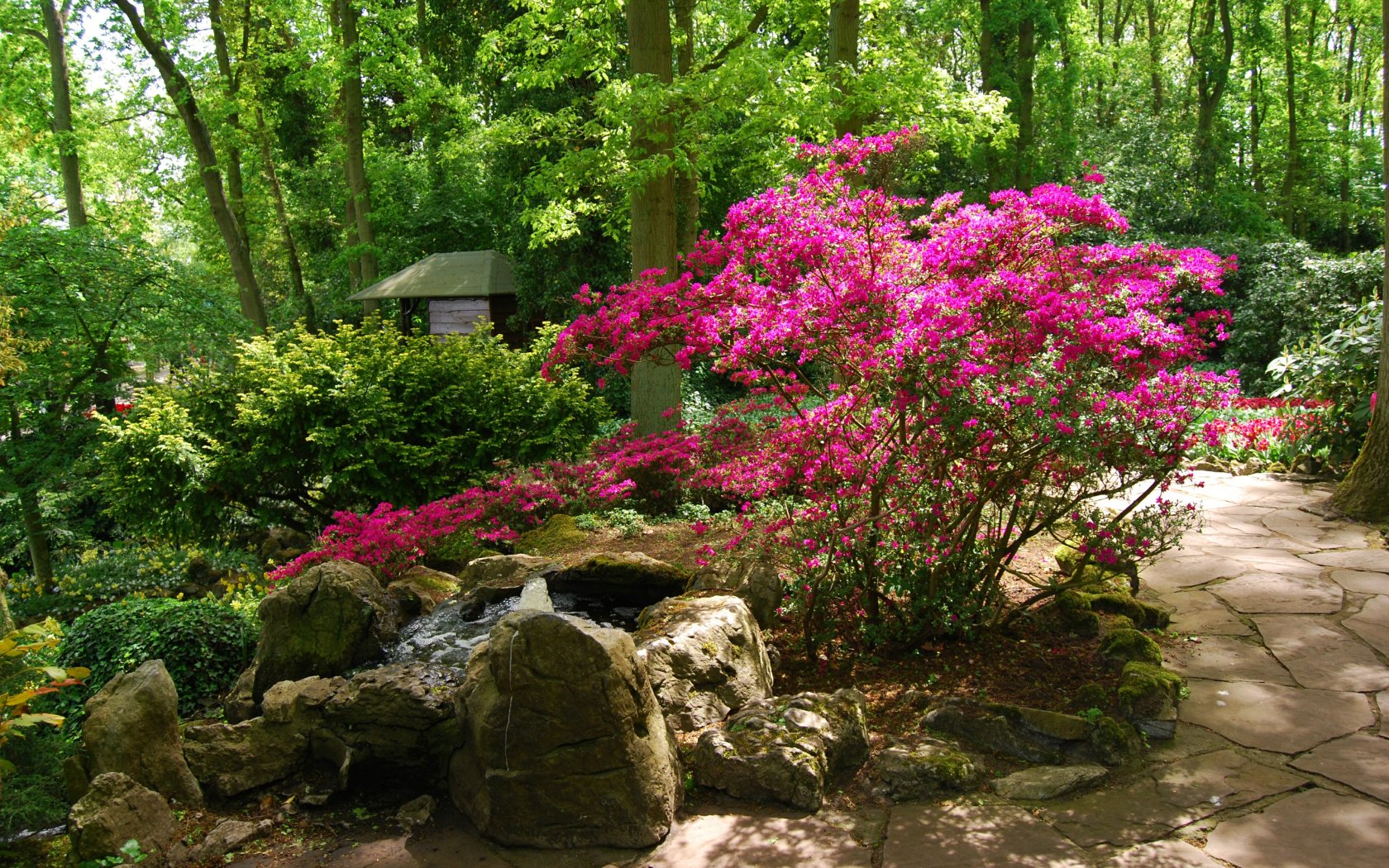 Download wallpaper greens, Park, green, spring, garden, fountain ...