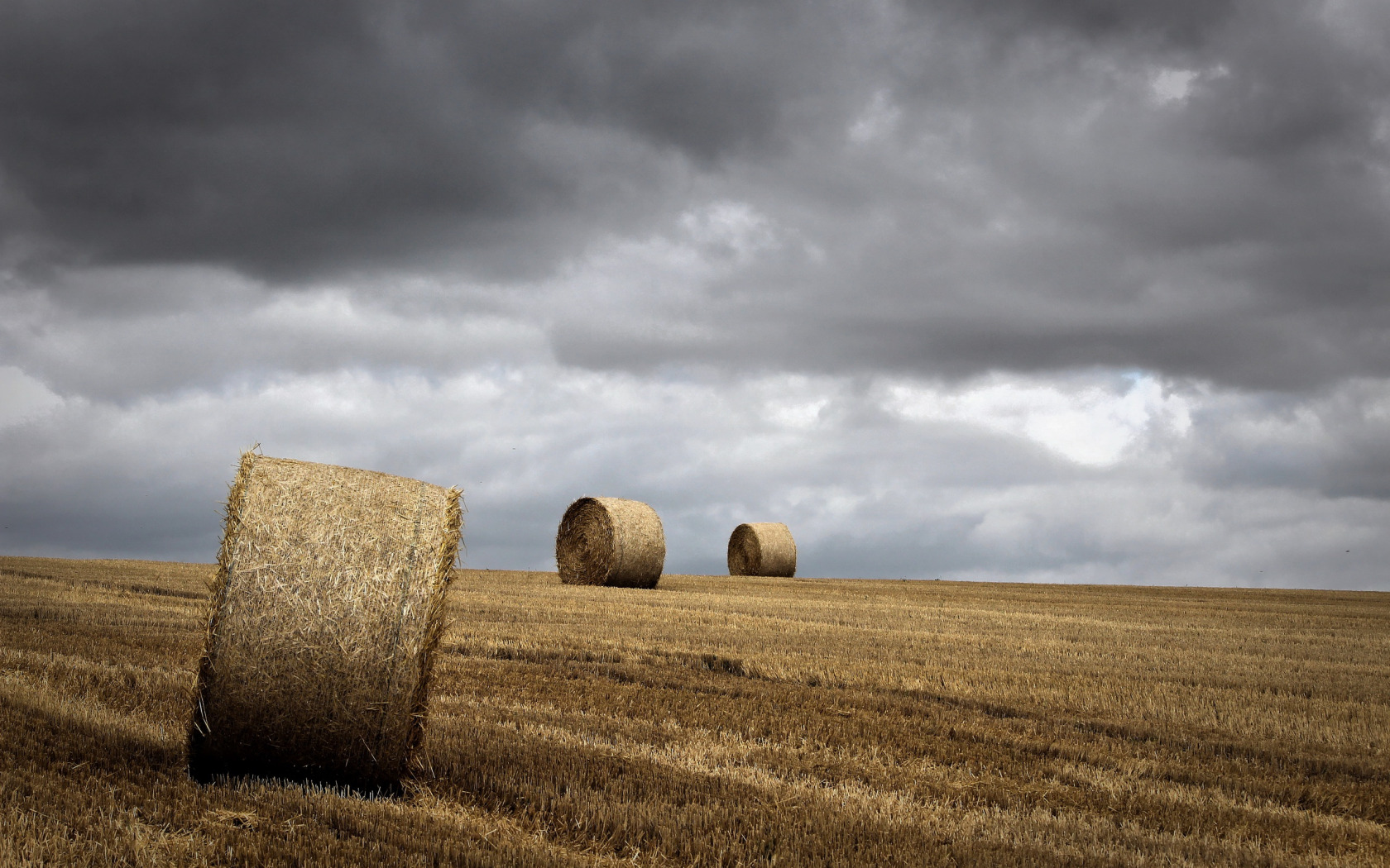 стог сена. поля подсолнухов италии стога сена. русское полюшко. неб сену. поле сено закат.