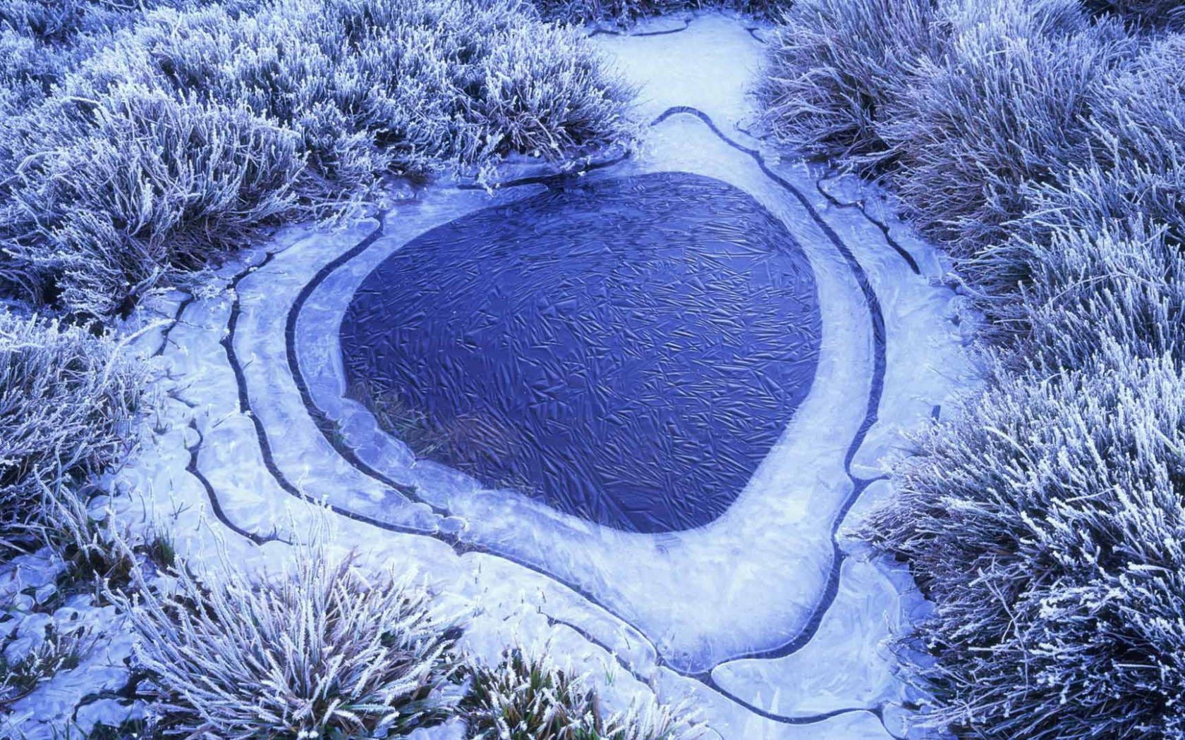 Айс Лейкс