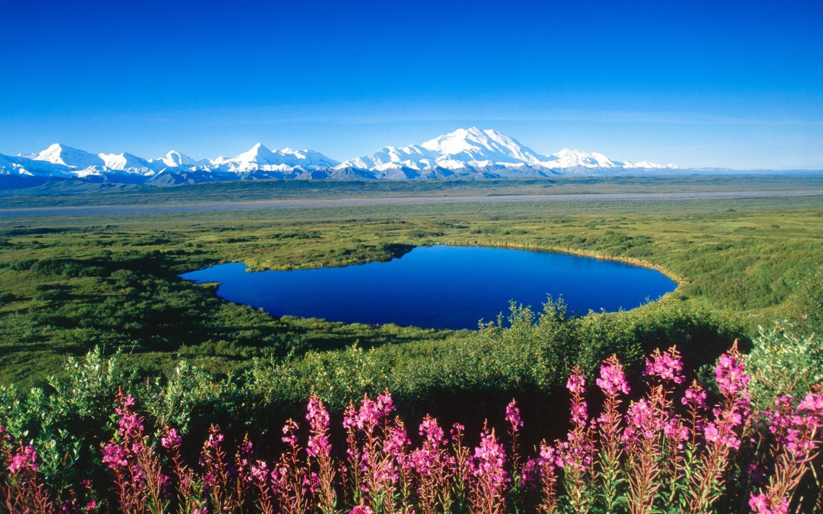 Download wallpaper snow, flowers, mountains, lake, the steppe, Alaska ...