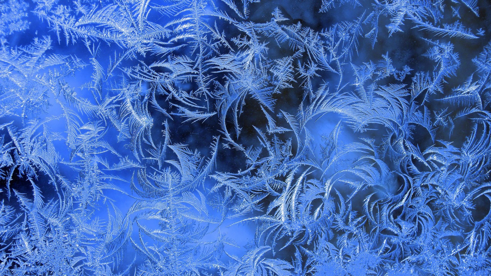 Window Frost Pattern Download wallpaper Window, Frost, Patterns, section macro in resolution ...