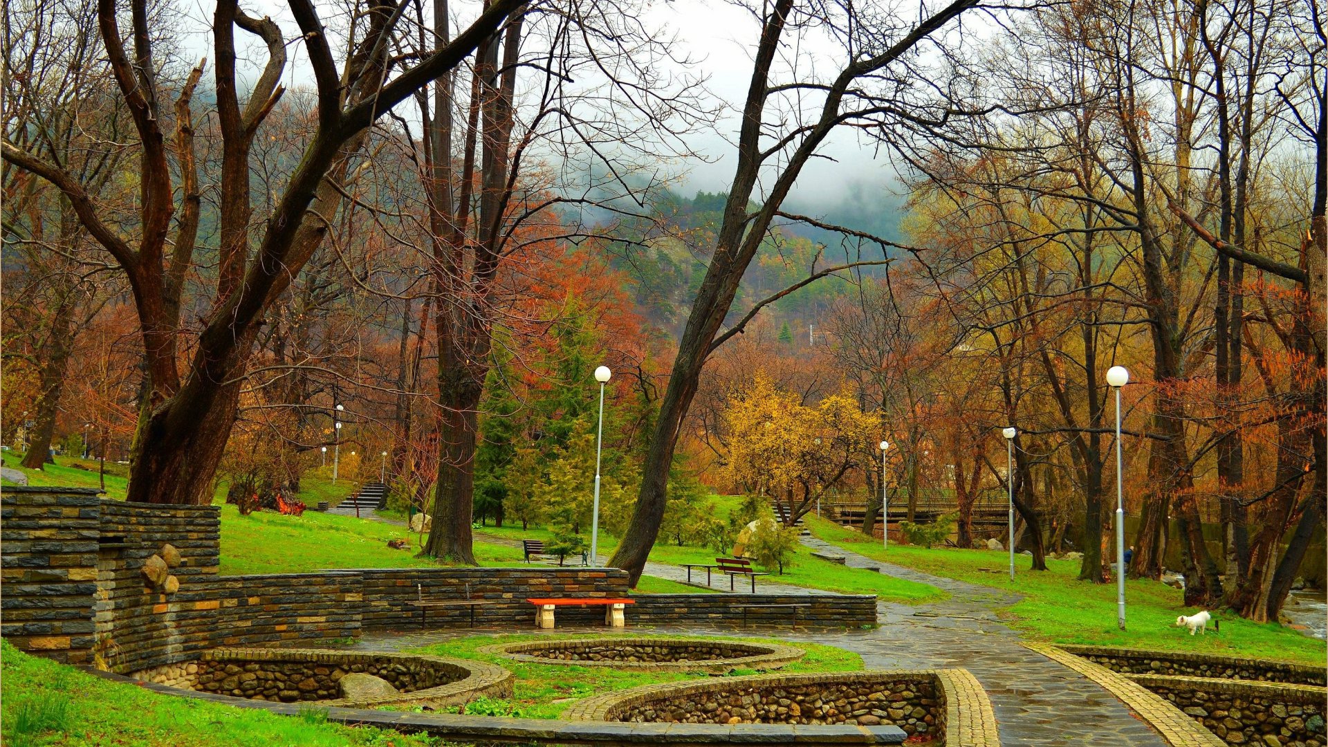 Tree Park Spring Download wallpaper trees, Park, spring, trees, park, spring, March ...