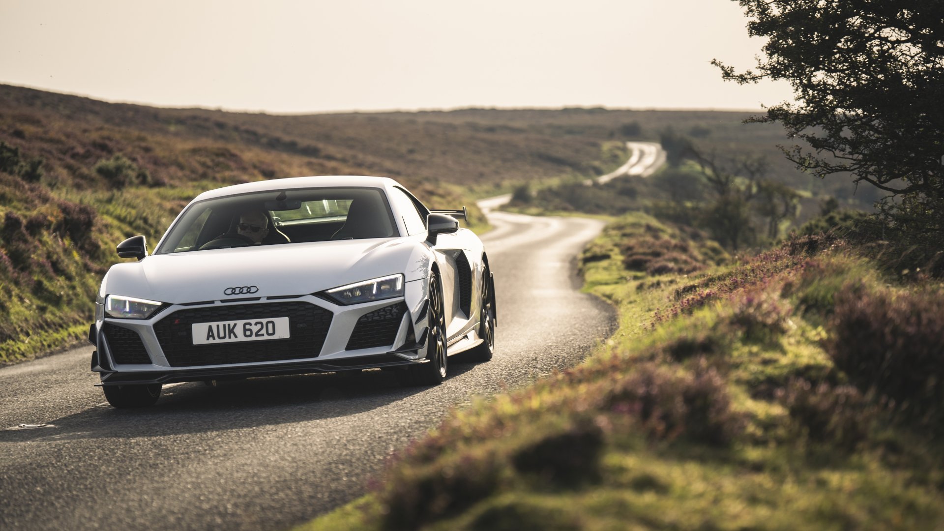 Audi R8 Forwardview Download wallpaper Audi, front view, R8, Audi R8 Coupe V10 GT RWD ...