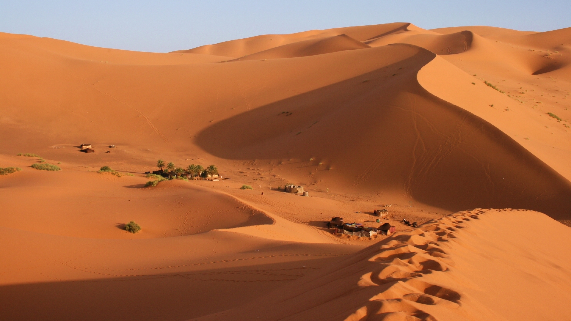 Арабский оазис. Пустыня Каракум Оазис. Эль ХАМРА пустыня. Пейзаж пустыни Кызылкум. Сахара Оазис.