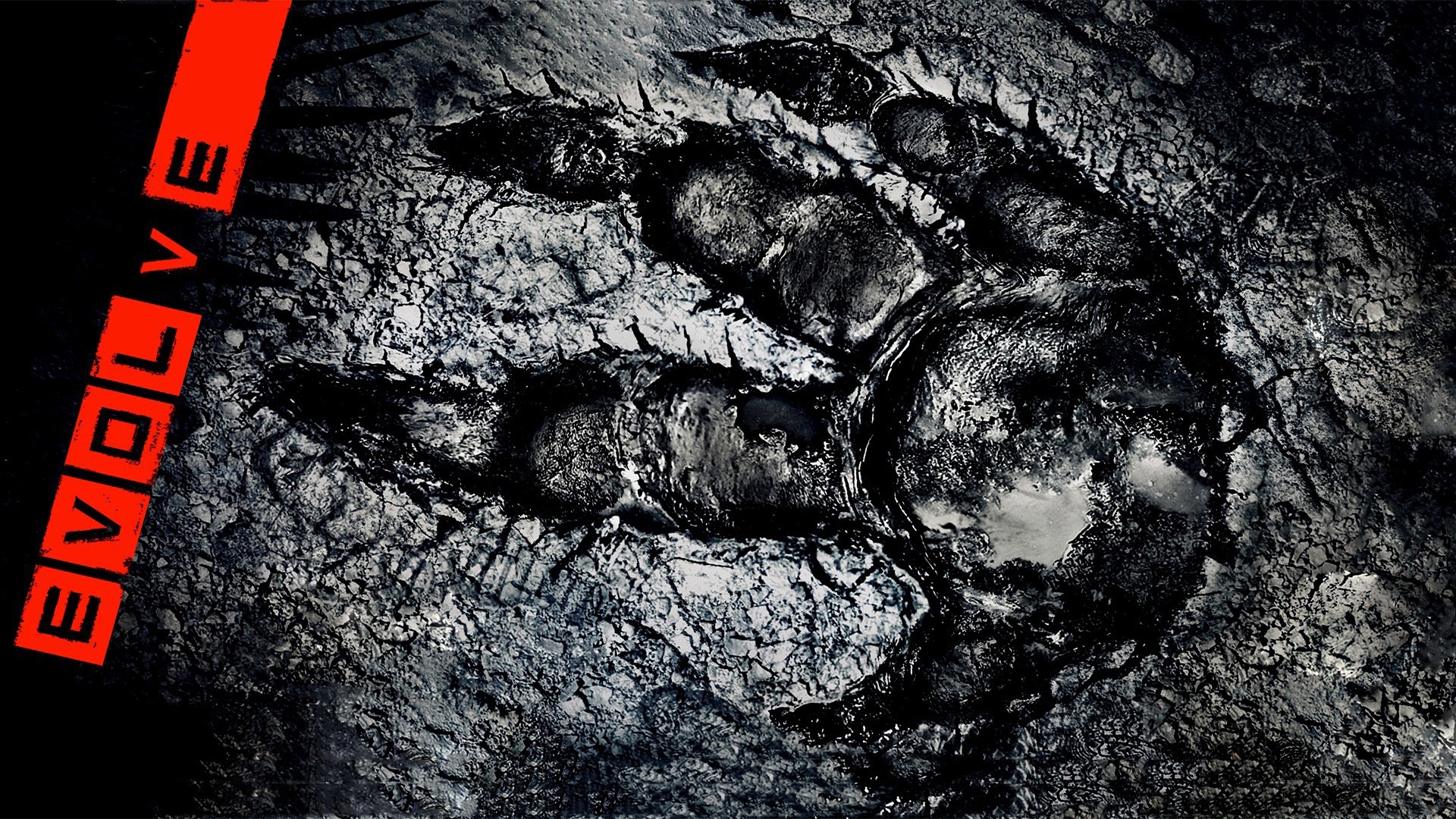 【中古】英語洋書 The Art of Evolve(ゲーム「エボルブ」アートコレクション)／2K、Turtle Rock Studios／Titan Books Ltd The Art of Evolve: 2K, Turtle Rock Studios: 9781783296965