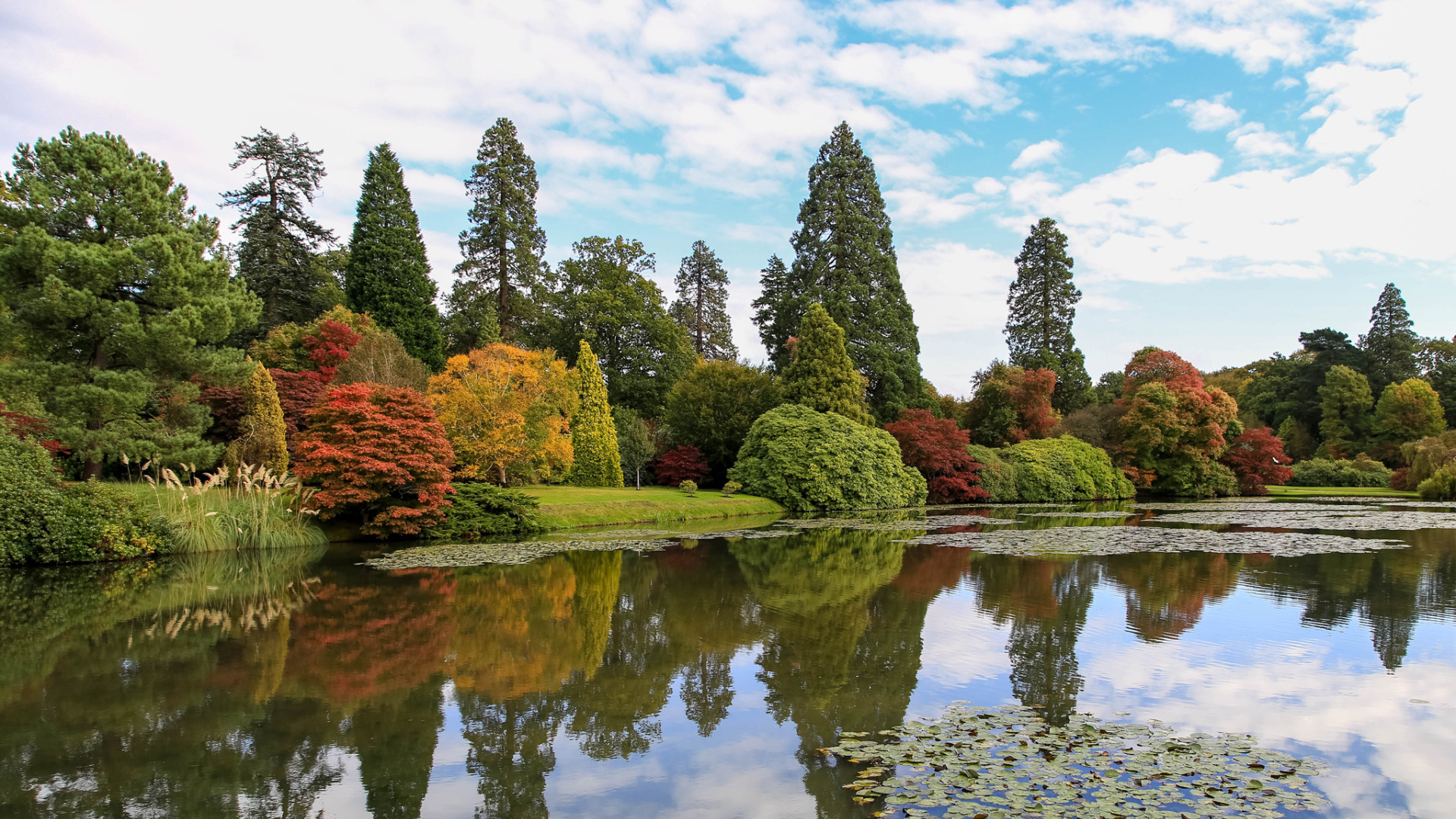 Природа фото парка Download wallpaper autumn, the sky, clouds, trees, pond, Park, section nature in