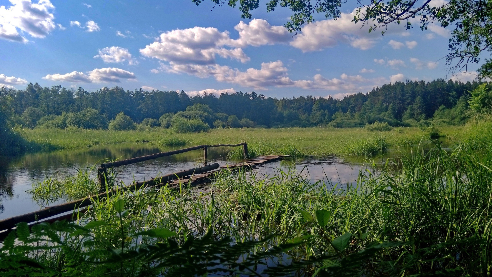 Река свень брянск карта