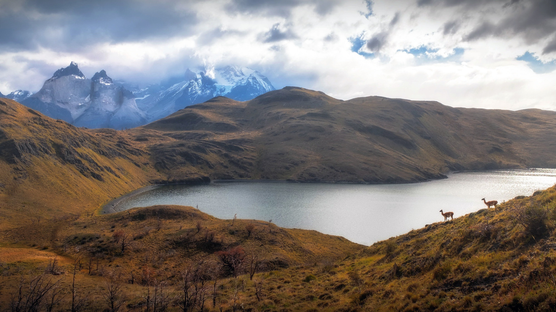 Download wallpaper Torres del Paine, The Victorina, Region of