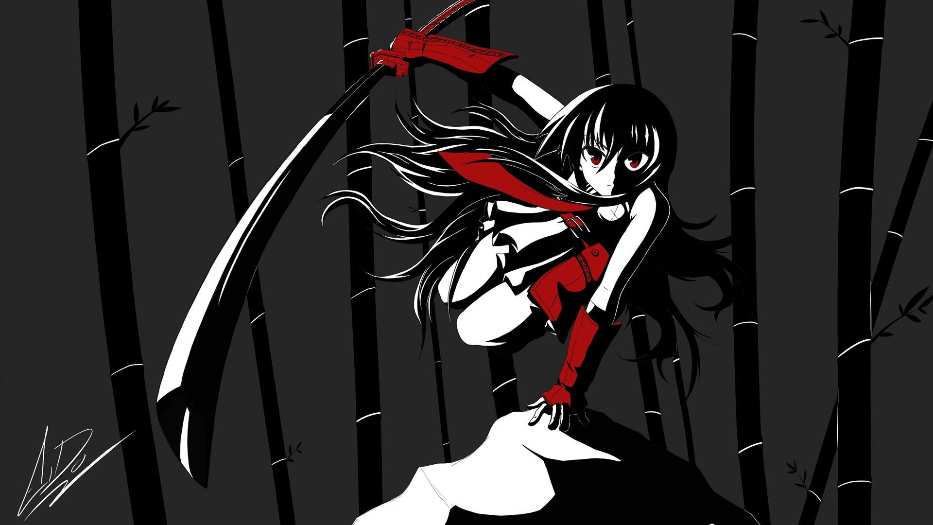 Wallpaper katana, Akame, Akame ga kill, akame GA kill, night raid for  mobile and desktop, section прочее, resolution 1920x1080 - download