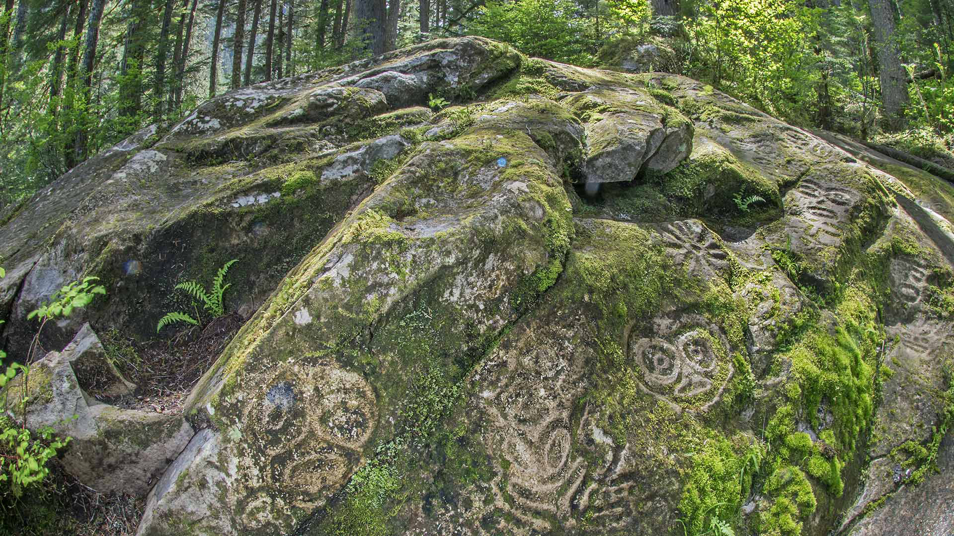 Камень ход. Белла кула Британская Колумбия. Остров Ванкувер петроглифы. Камень в лесу. Лесной камень.