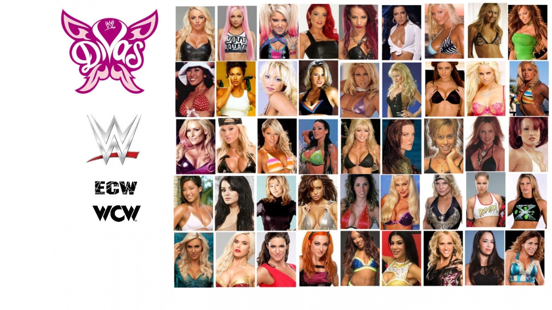 Download wallpaper Wallpaper, WWE, WWE Divas, section girls in resolution  1920x1080