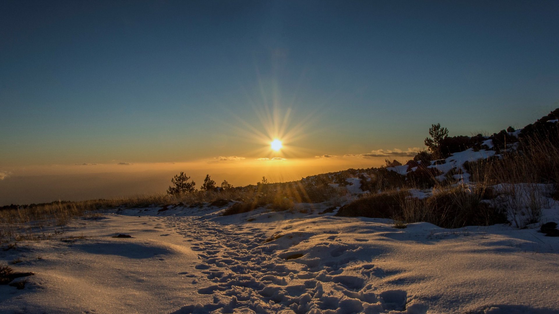 Summer Rays Winter Rays Download wallpaper winter, field, the sun, rays, snow, traces, section ...