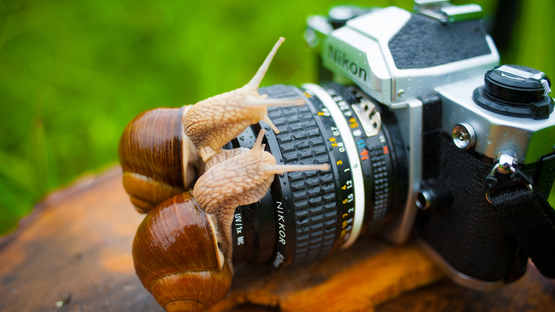 День фотографа фотографии. Макросъемка фотоаппарат. Креативный фотоаппарат. День фотографа. Открытка фотографу.