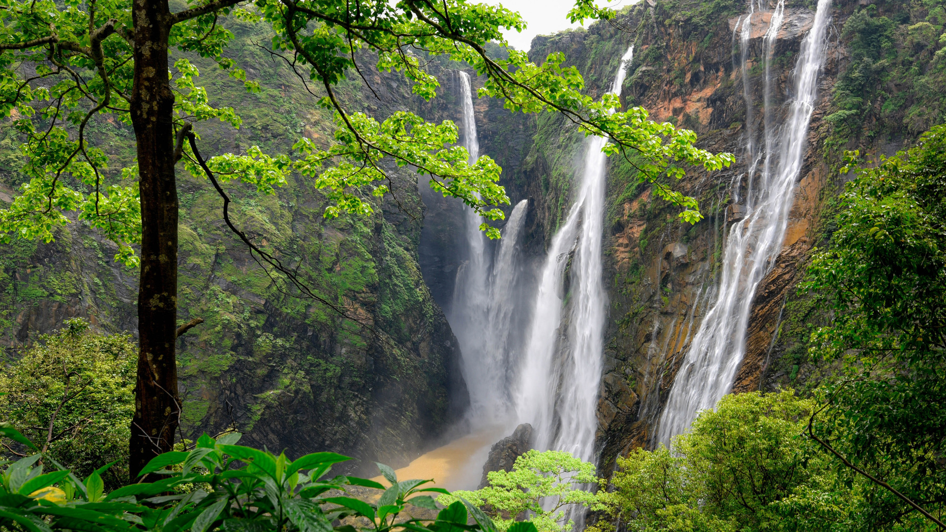 Download wallpaper forest, trees, mountains, rocks, India, waterfalls ...