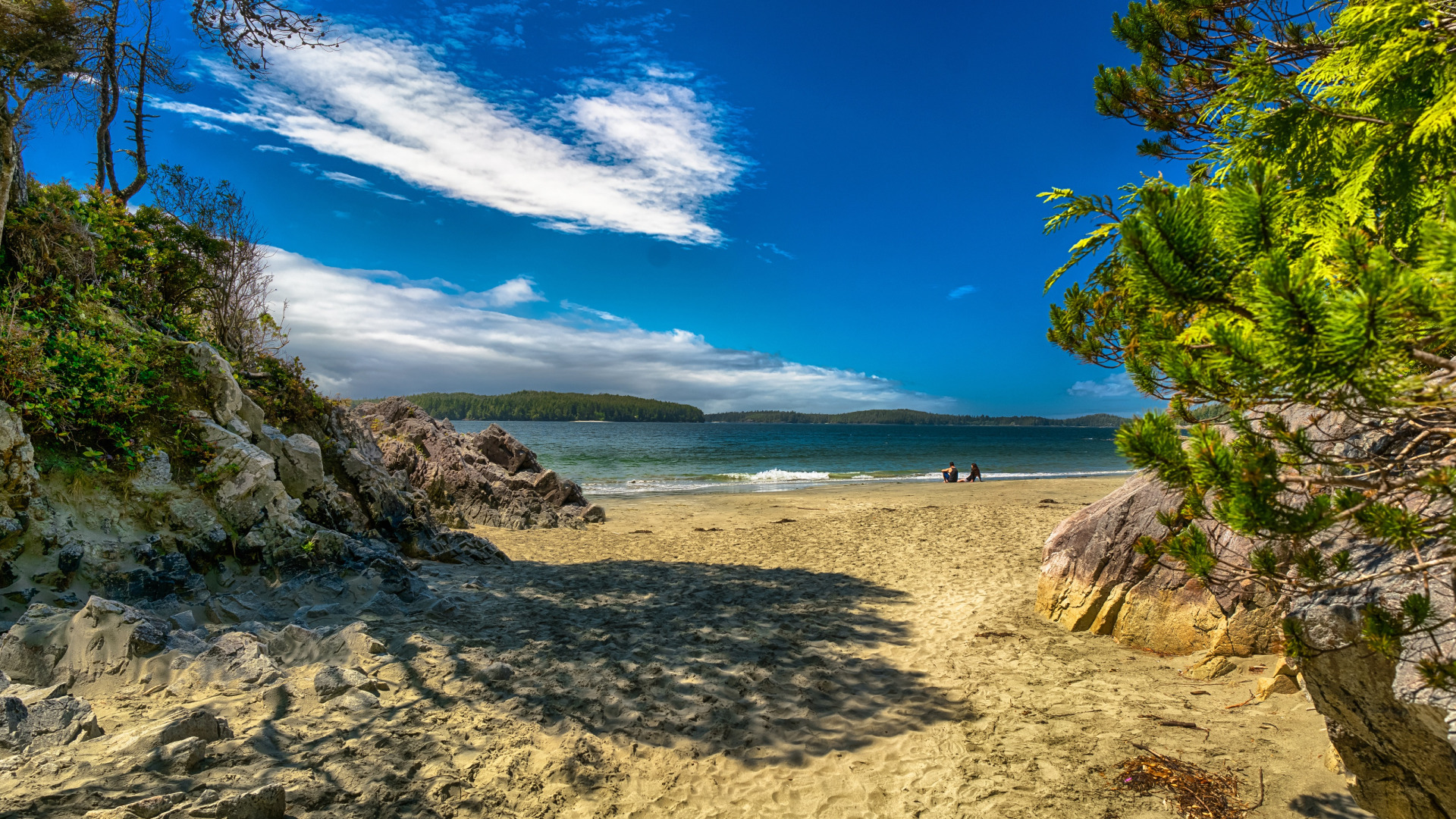 Amazing beach. Пляж «дикий берег» ЮАР. Море пляж. Дикий пляж. Берег моря