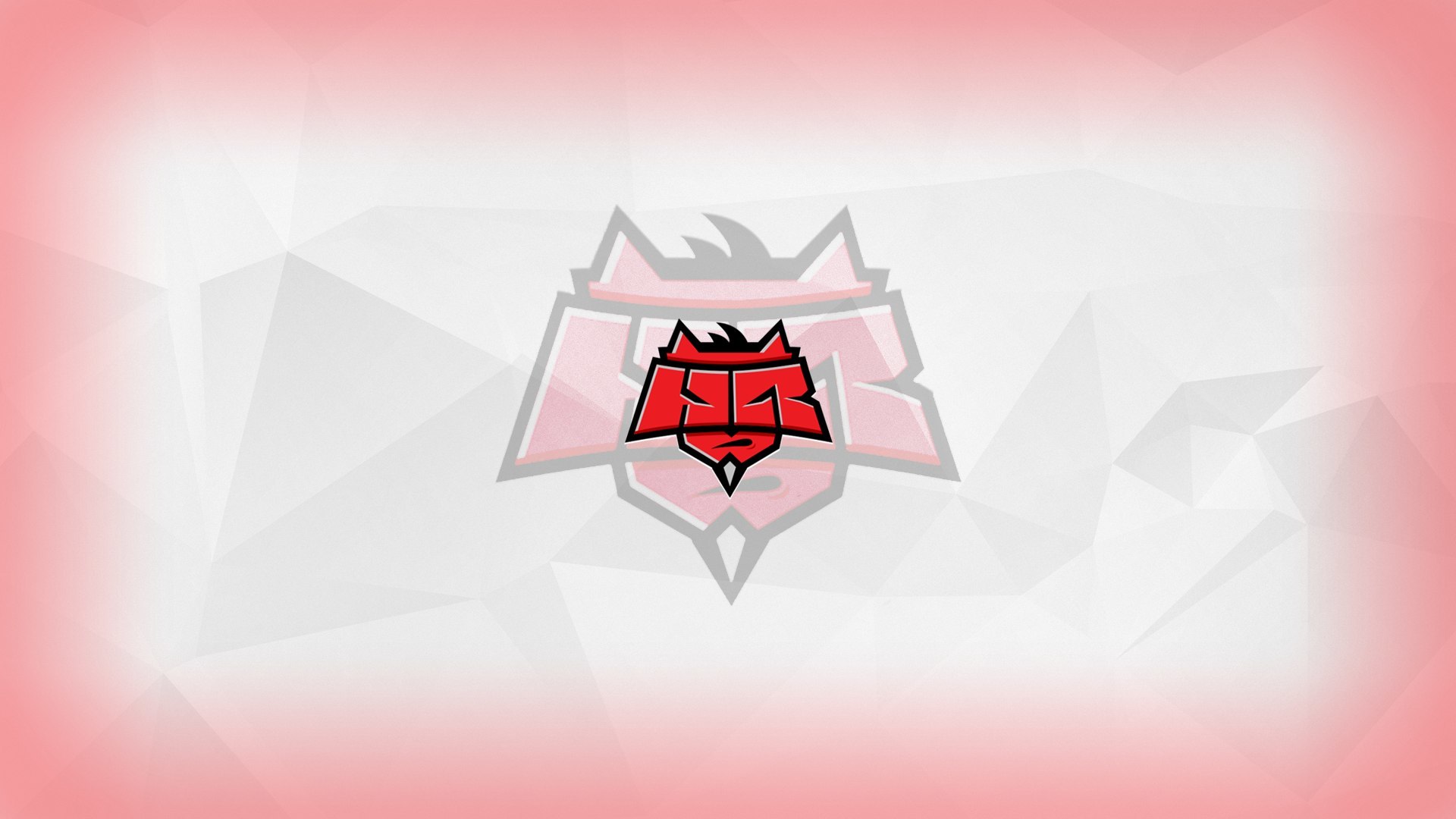 Download wallpaper team, Cs:Go, HellRaisers, section games in ...