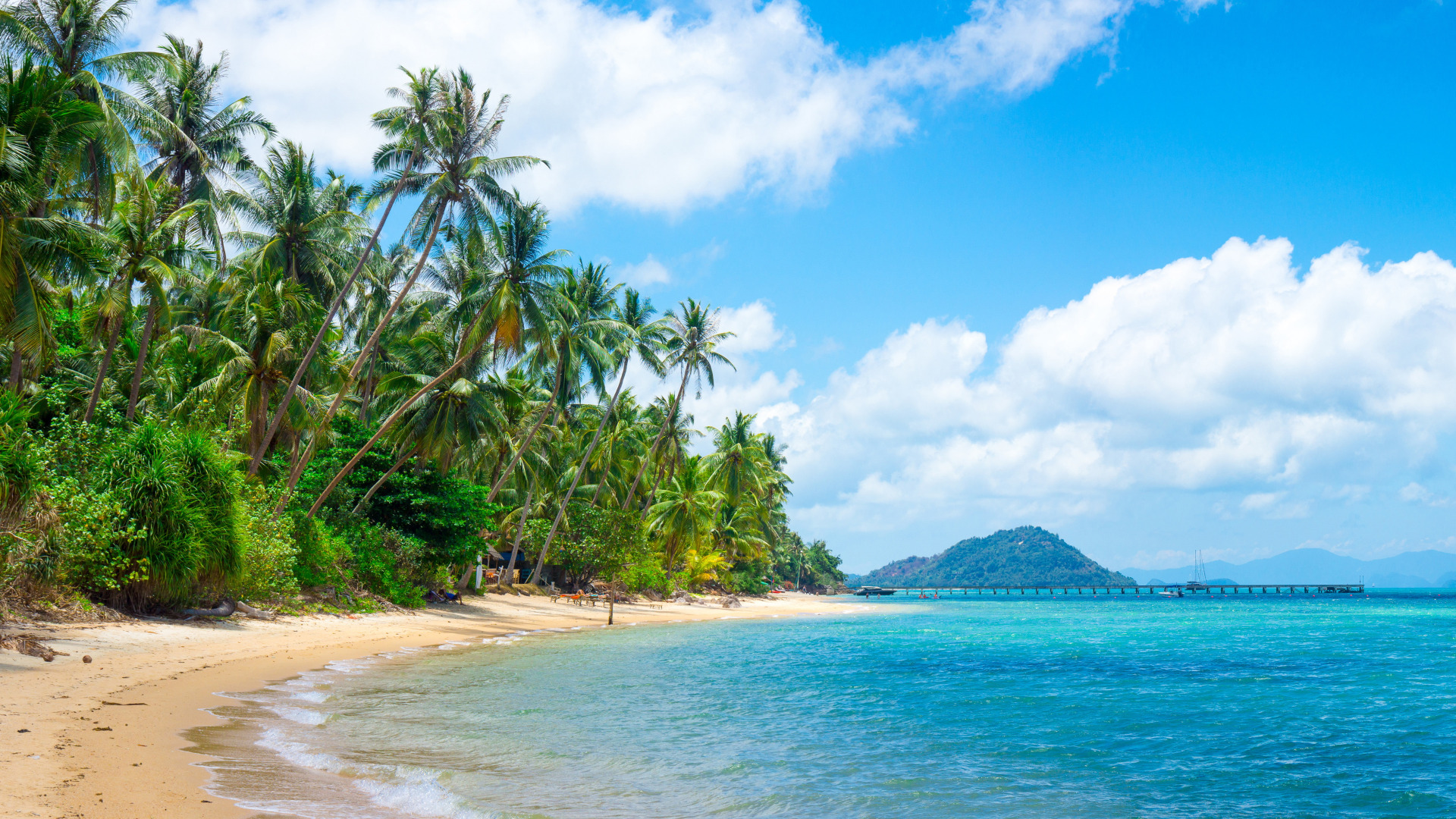 Download Wallpaper Sand Sea Beach Palm Trees Shore Summer Beach Sea Sand Shore