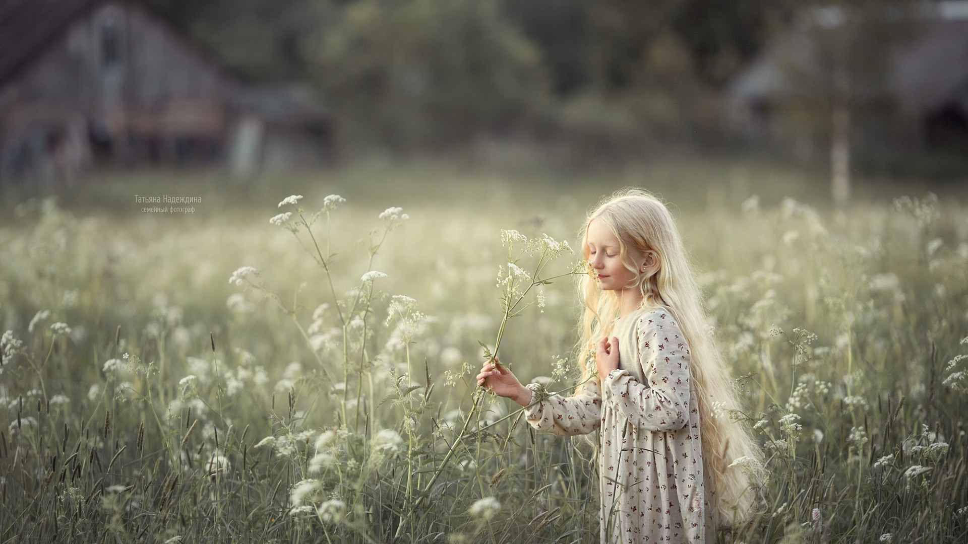 Download wallpaper GRASS, HAIR, FIELD, FLOWERS, GIRL, Photographer ...