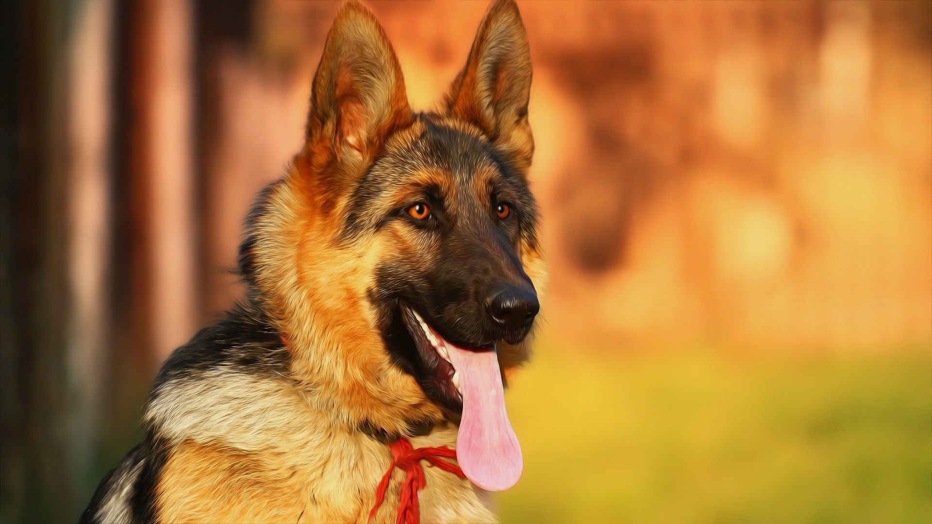 German shepherd. Собака немецкая овчарка. Баварская овчарка Shepherd. Собаканемецка овчарка. Пёс немецкая овчарка.