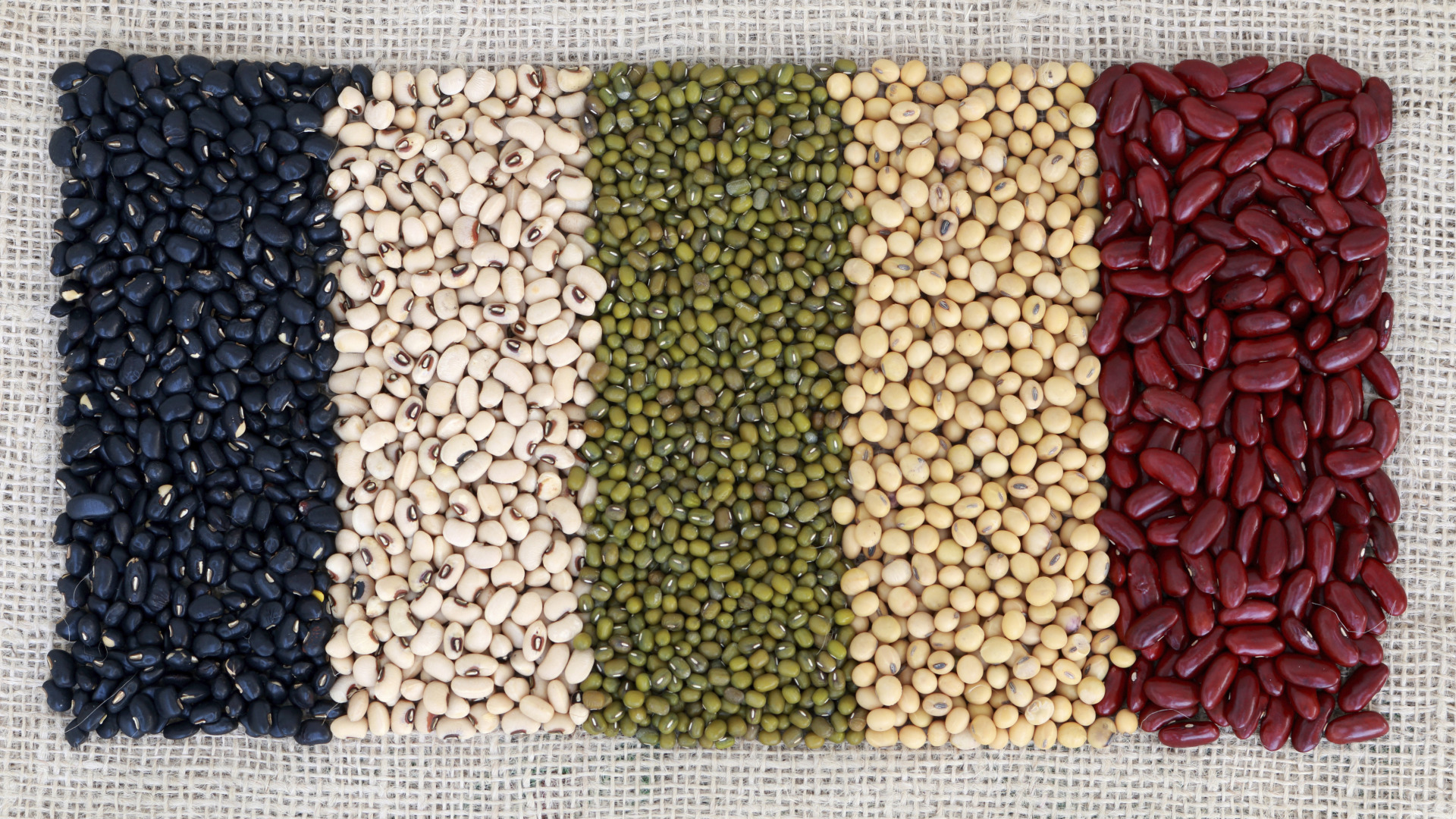 Download wallpaper colors, beans, variety, section textures in ...