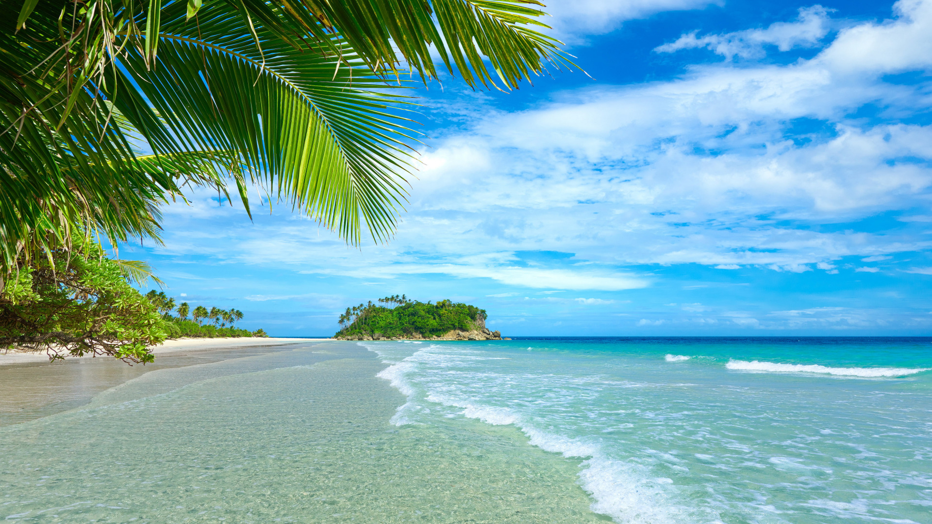 Download wallpaper sand, sea, beach, summer, palm trees, summer, beach ...