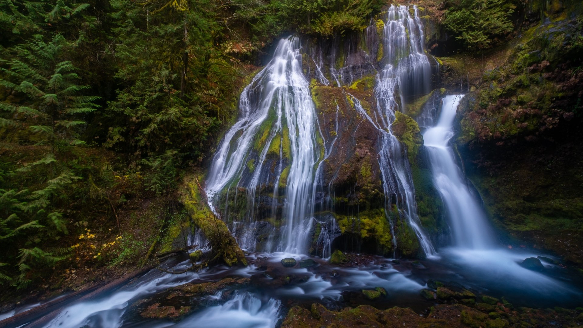 Giffer Rocks Download wallpaper nature, photo, rocks, waterfall, moss, USA, Panther ...