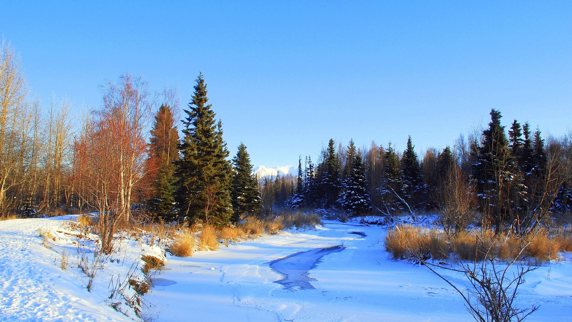 Начала весны среднем начало. Зимний пейзаж. Зимняя река. Русская природа зимой.