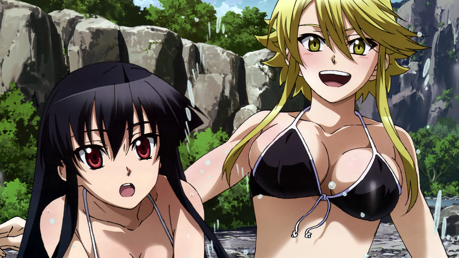 Download wallpaper bikini Akame Leon section other in resolution