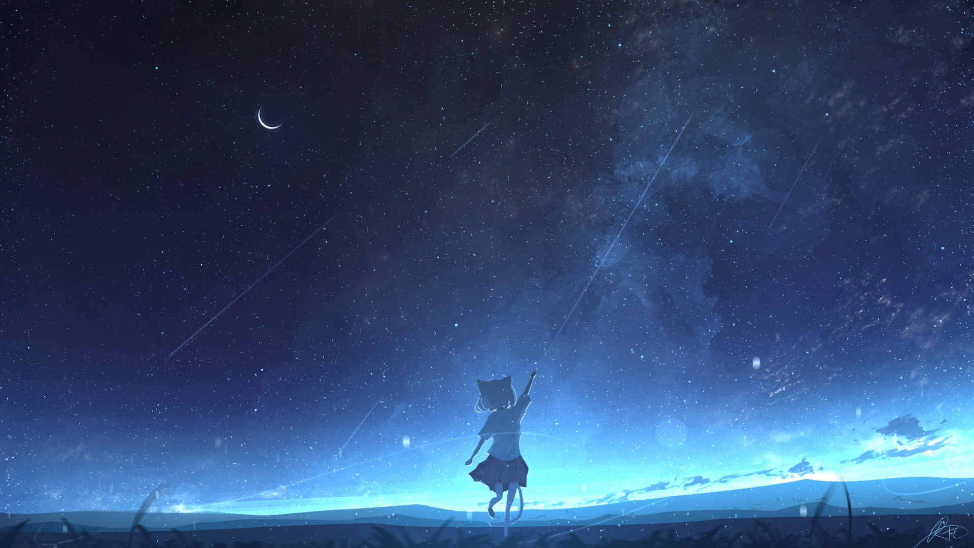 Download wallpaper cat, the sky, night, girl, shooting stars, section ...