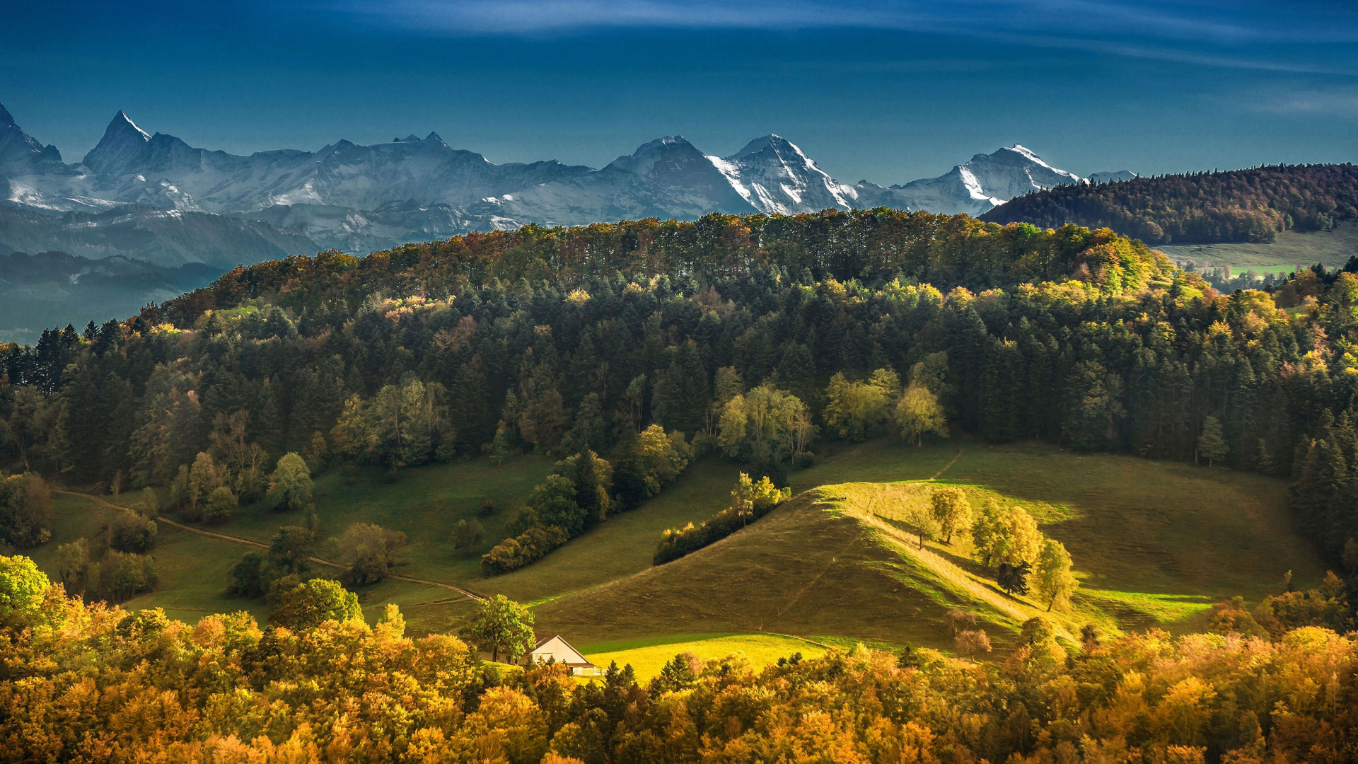 Download wallpaper autumn, forest, mountains, Switzerland, Switzerland ...