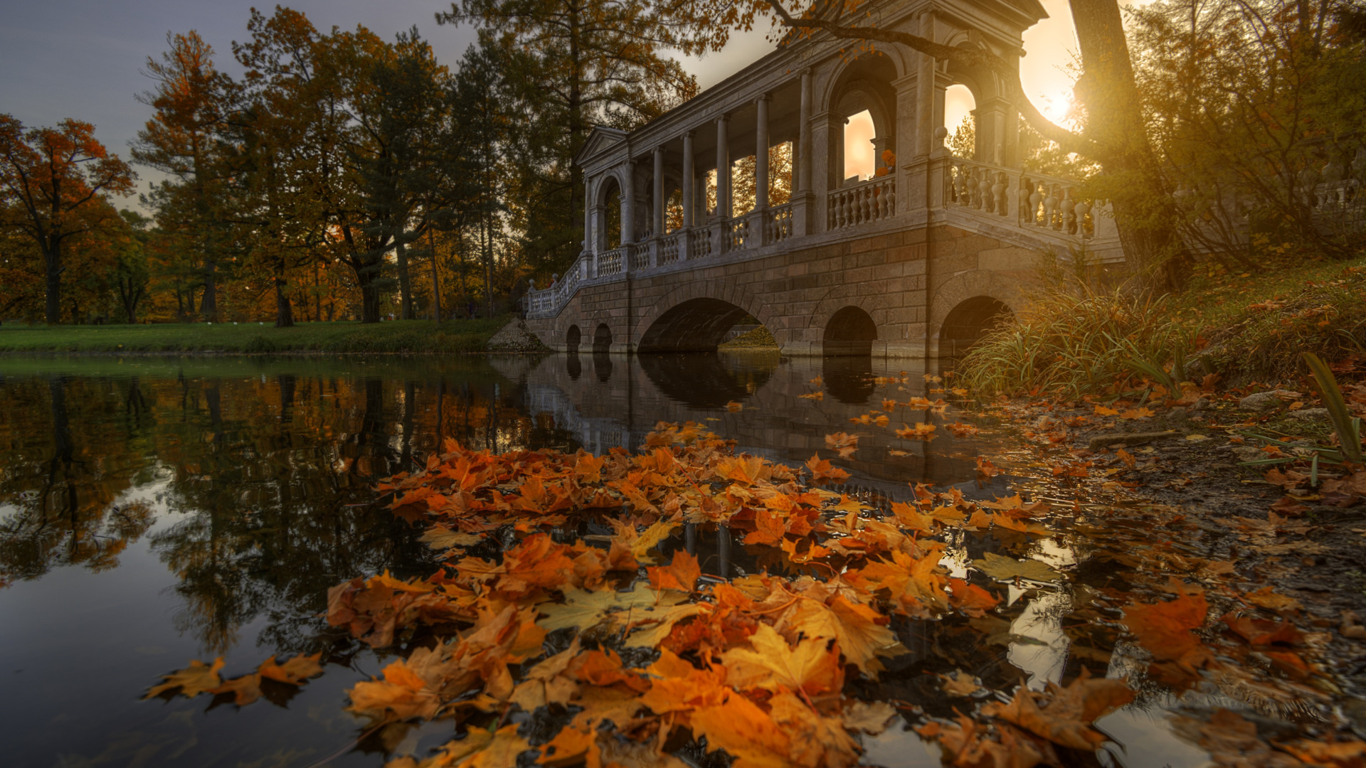 Download Wallpaper Autumn, The Sun, Landscape, Pond, Park, The Evening 