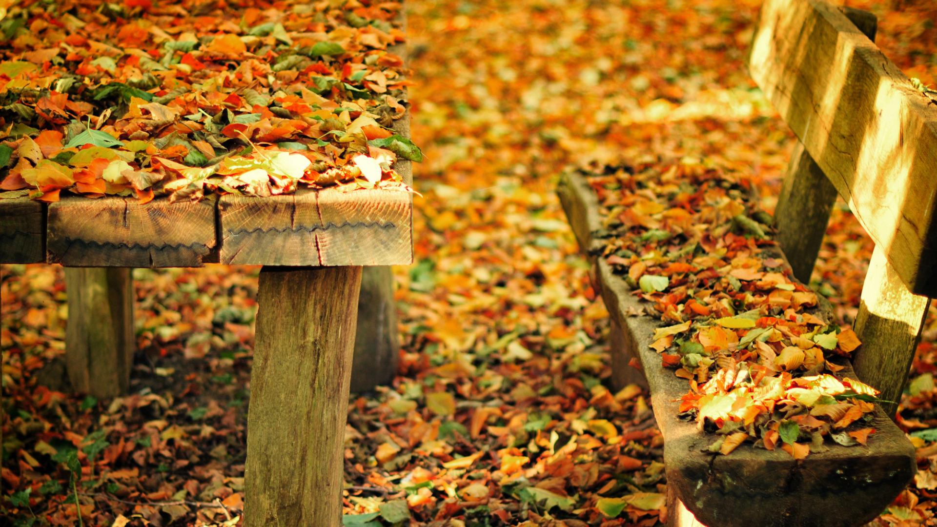 Как подписать фото про осень Download wallpaper autumn, leaves, bench, nature, Park, table, shop, shop, secti