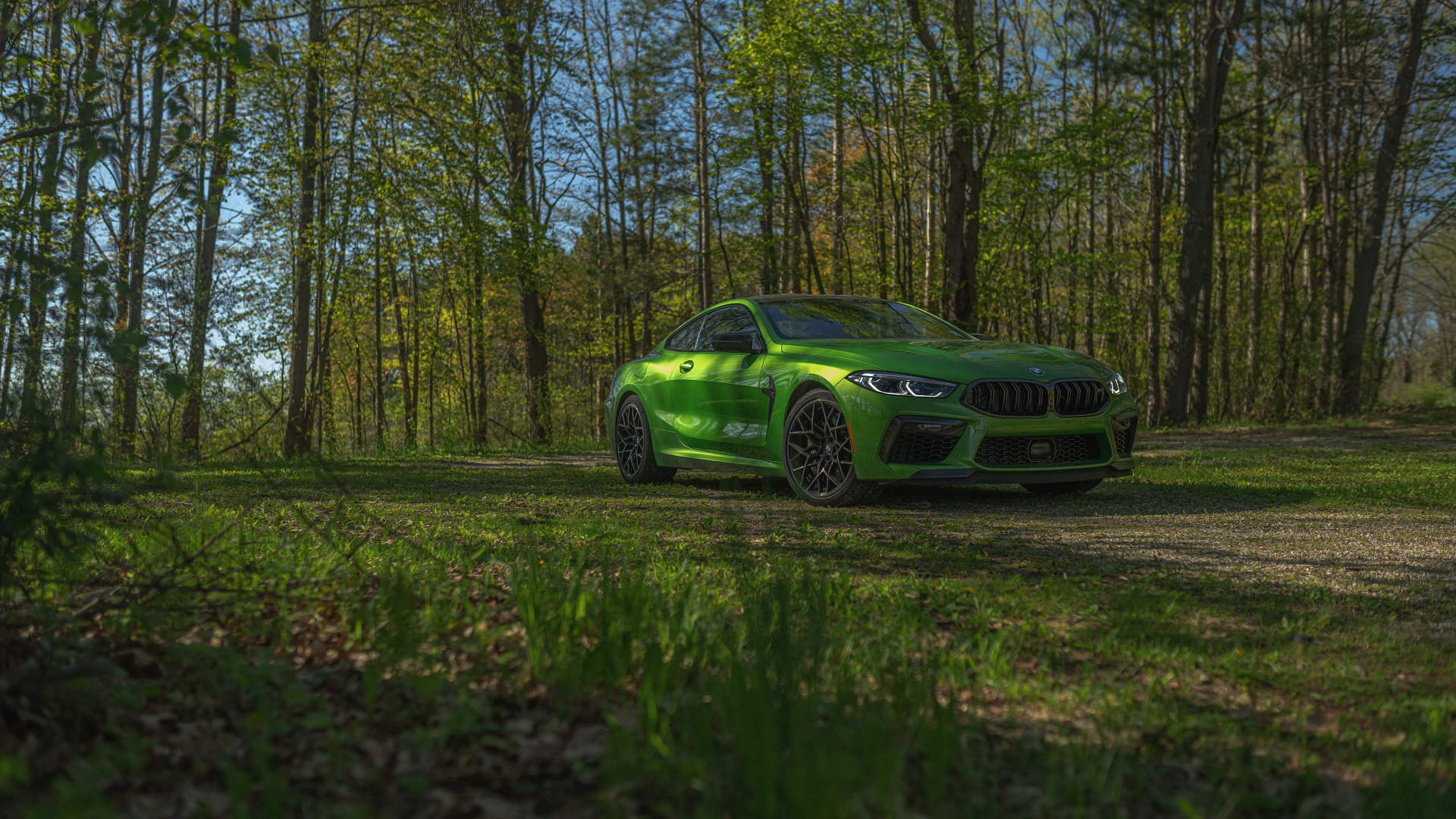 Download wallpaper grass, coupe, BMW, Coupe, 2020, BMW M8, two-door, M8 ...