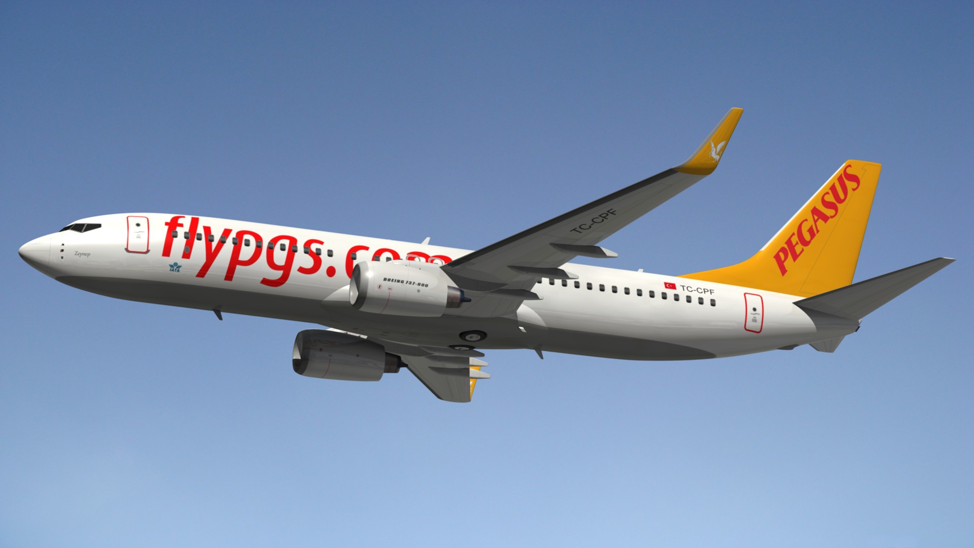 Пегасус чья авиакомпания. Пегасус Аирлинес. Boeing 737 Pegasus Airlines. Боинг 737-800 Пегасус. Boeing 737-800 Pegasus Airlines.