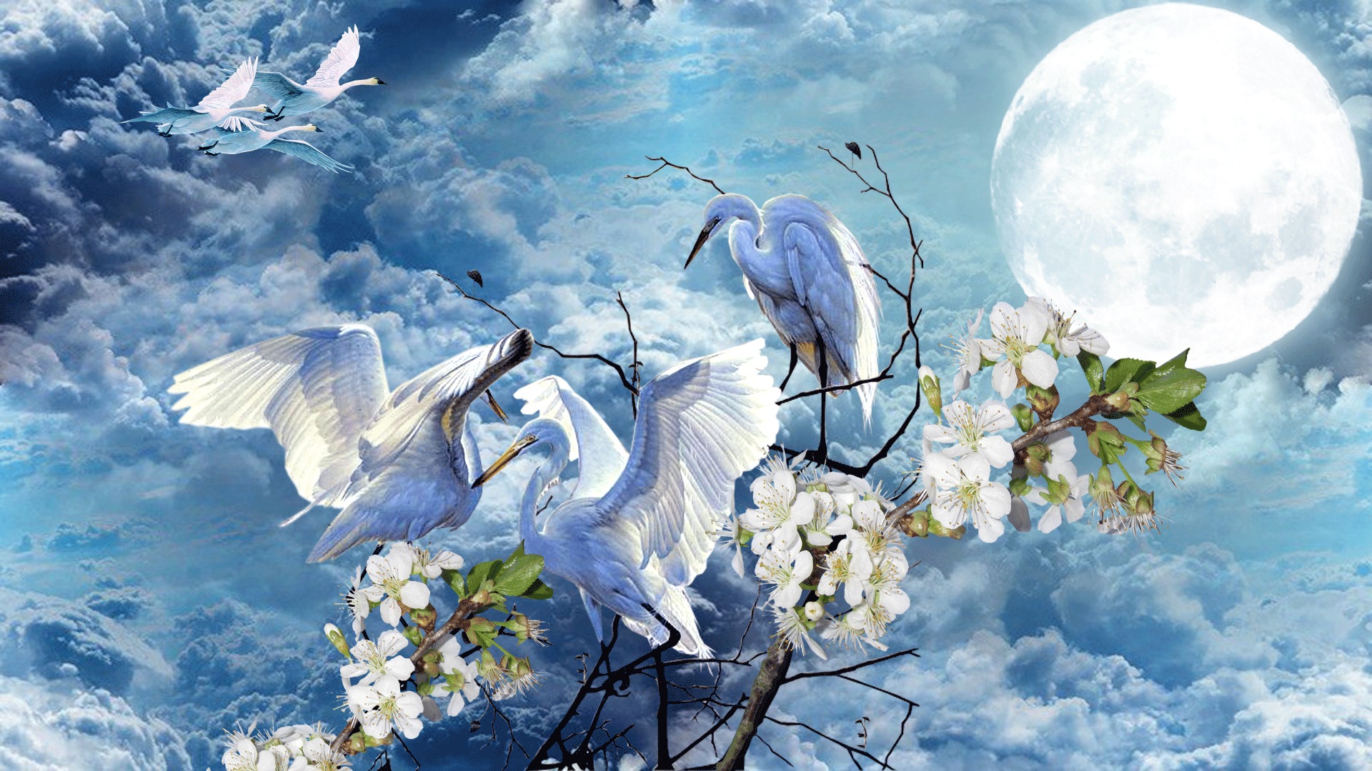 Чудесны лунные мартовские ночи впр 5. Весеннее небо с птицами. Весенний полет. Голубое Весеннее небо и птицы. Птицы в небе весной.