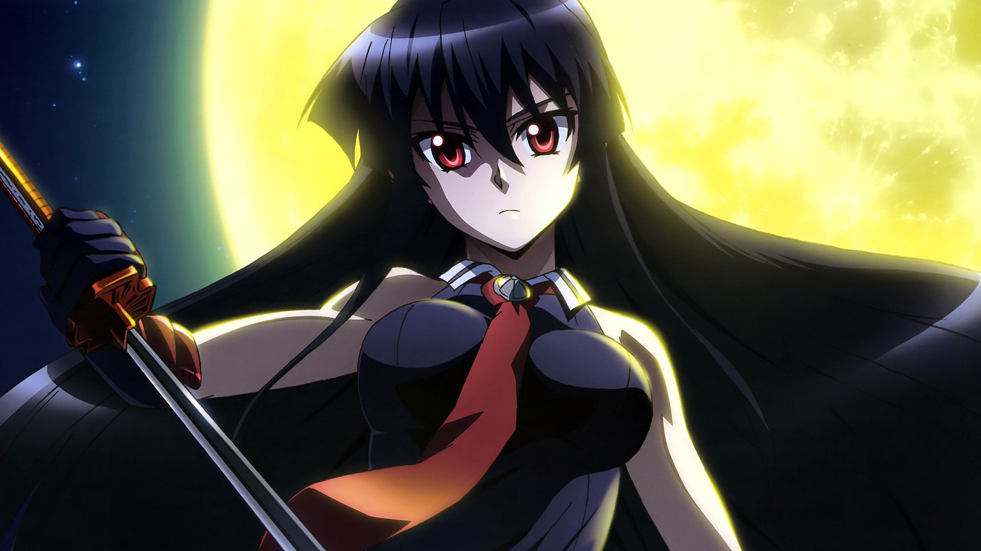 Download wallpaper girl, katana, Akame, Akame ga kill, akame GA kill, night  raid, section other in resolution 1920x1080