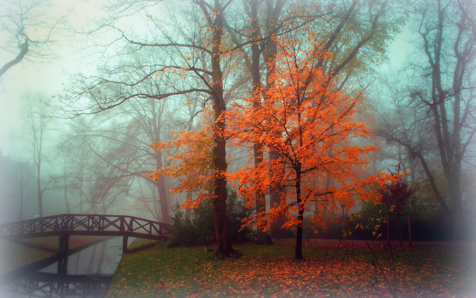 Download wallpaper autumn, landscape, fog, Park, section landscapes in reso...