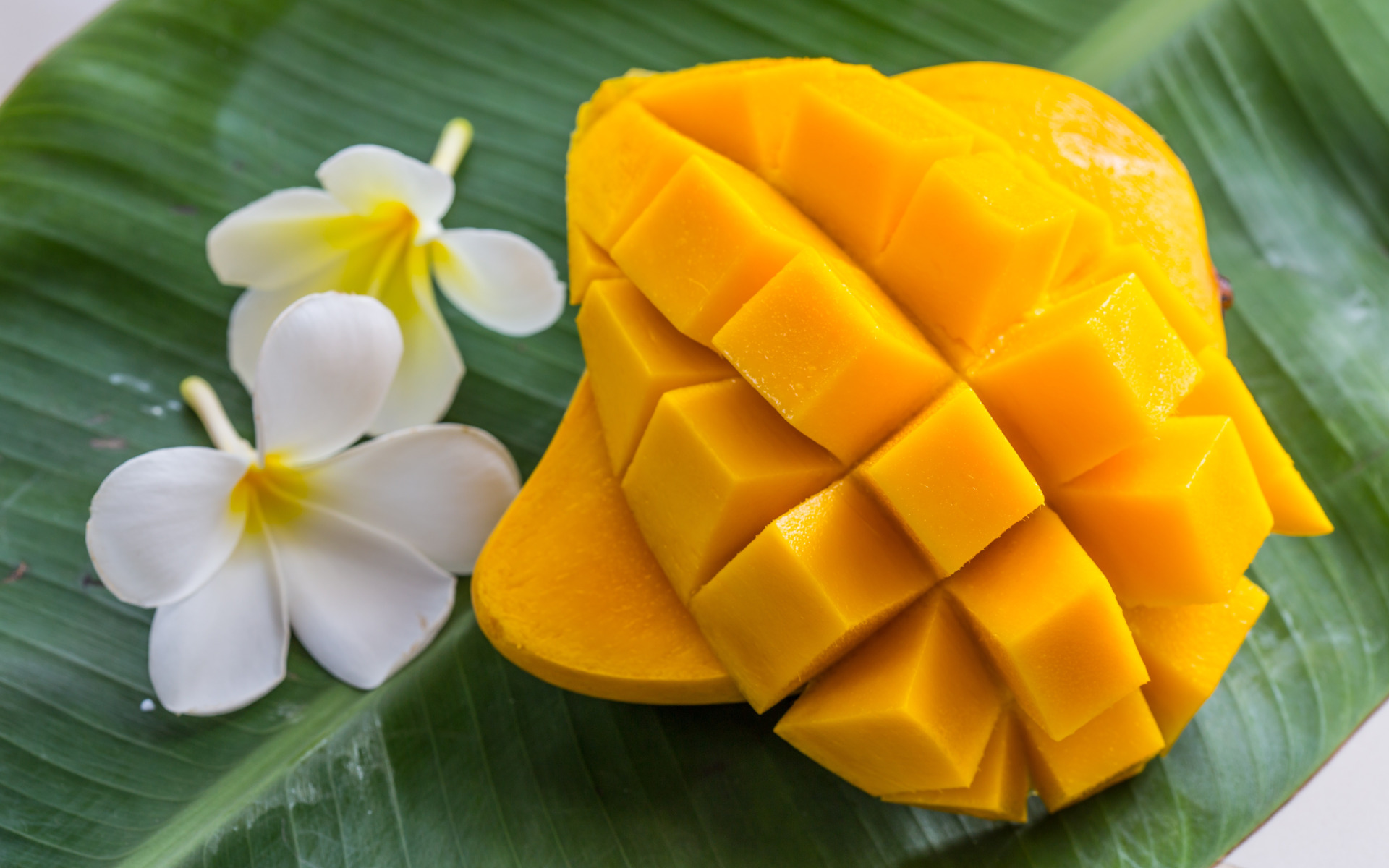 Download wallpaper Flowers, Plumeria, <b>Mango</b>, section food in resolution 192...