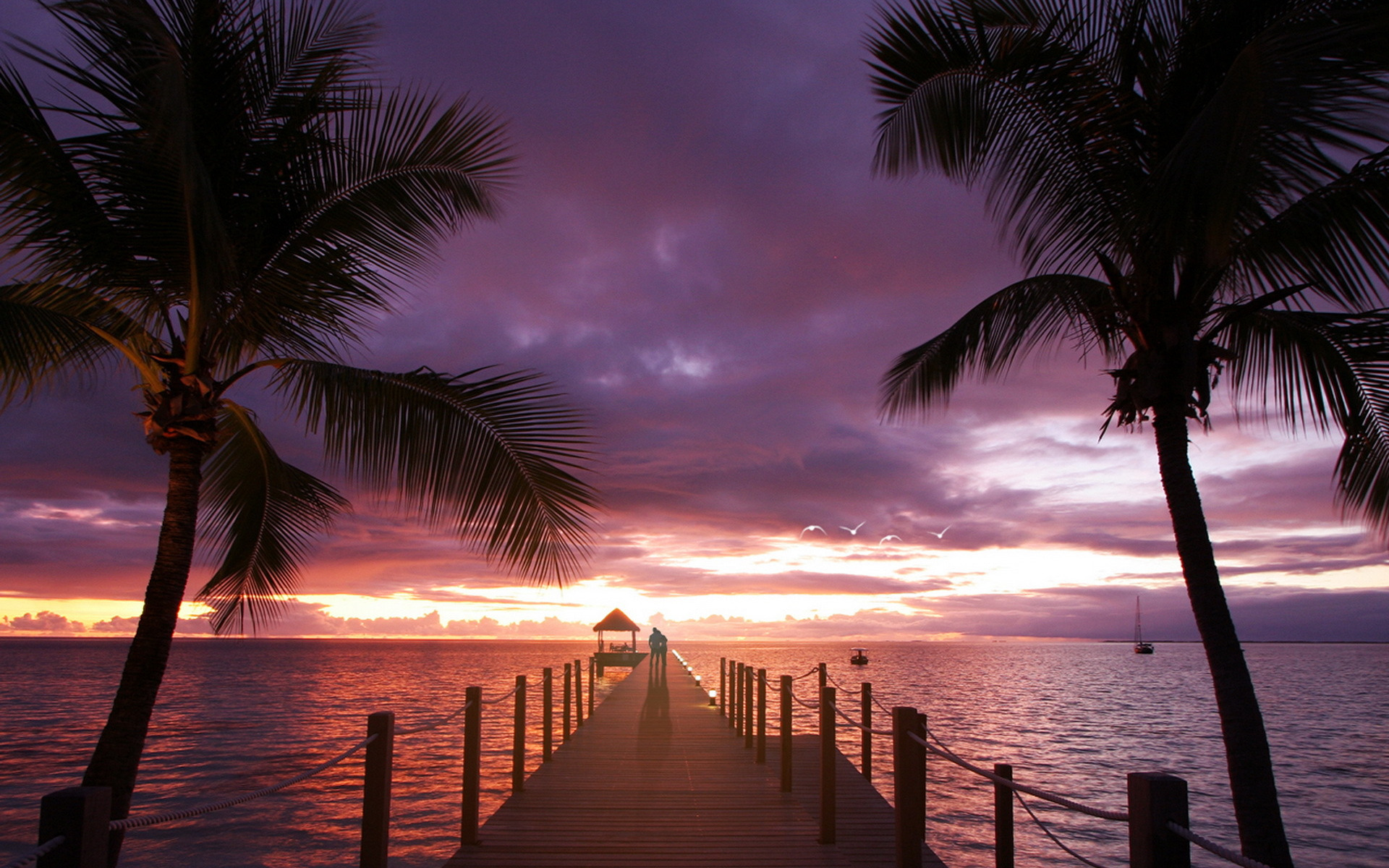 Palms on love. Сансет Бич Мальдивы. Сансет Бич закат. Пальмы. Вечерний пляж с пальмами.
