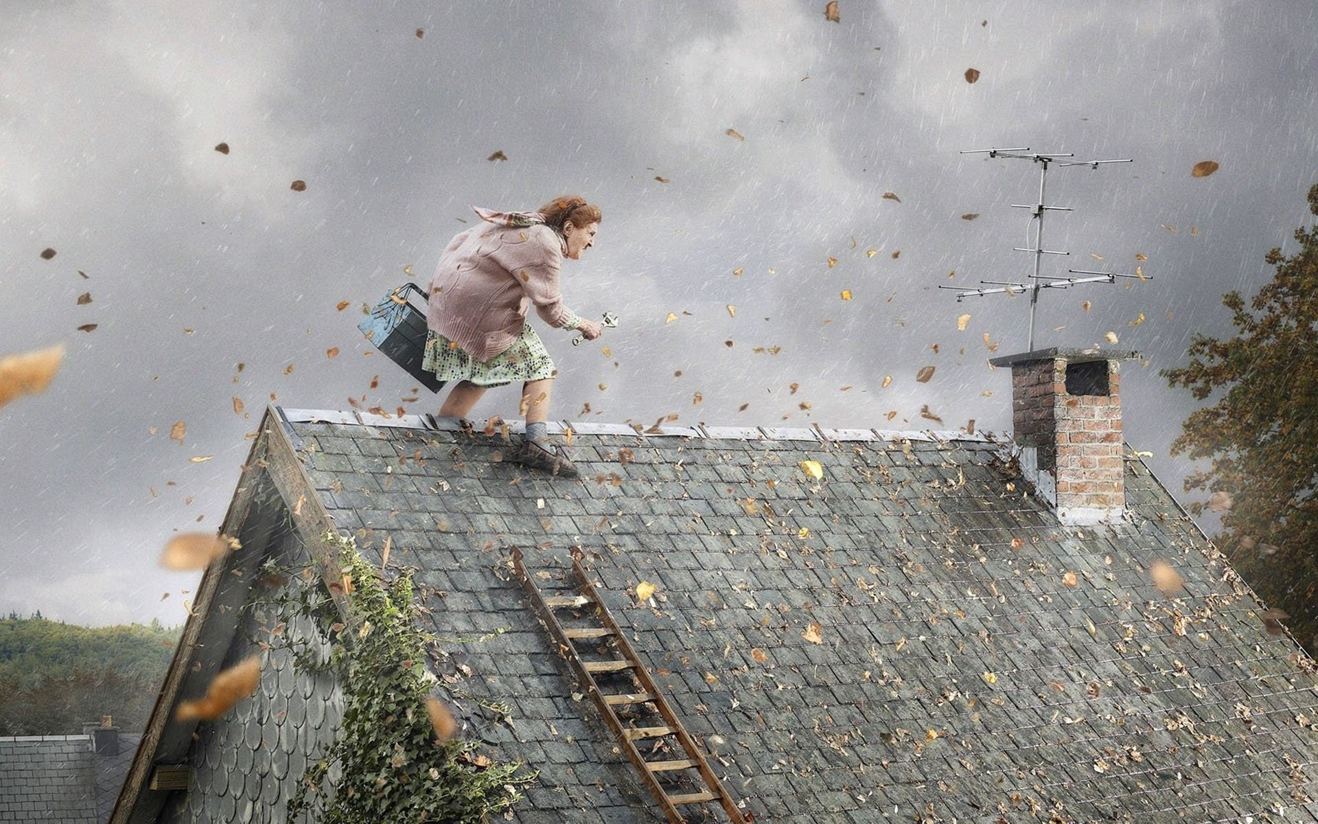Сильный ветер в окна. Gregor Collienne. Летающая крыша. Креативная крыша. Смешная крыша.