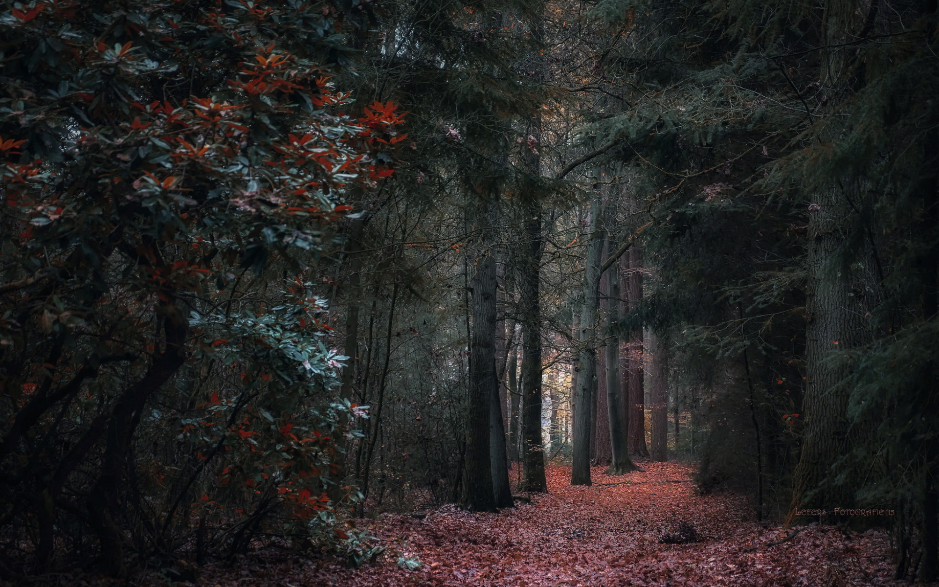 mysoulforautumn (autumn music for walking) - YouTube