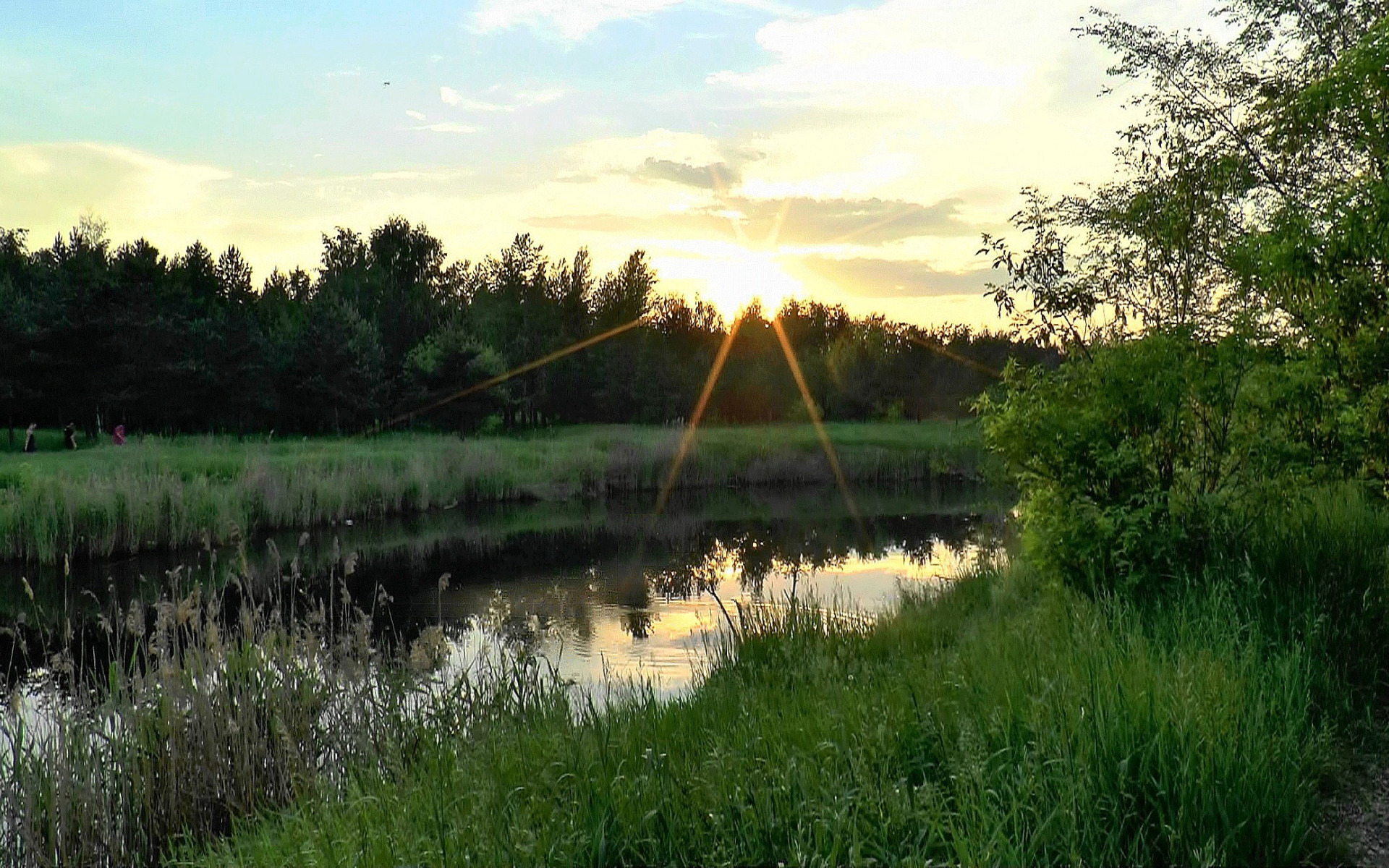 Вечером заря желто зеленой лентой. Утренняя Заря. Природа Заря. Закат на реке летом. Природа рассвет.